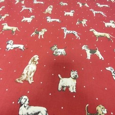 Clarke & Clarke Best Of Show