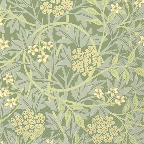 Jasmin green ihr - jasmin,