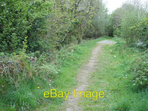 Photo 6x4 path - 6x4, old