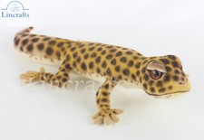 Hansa Leopard Gecko Lizard