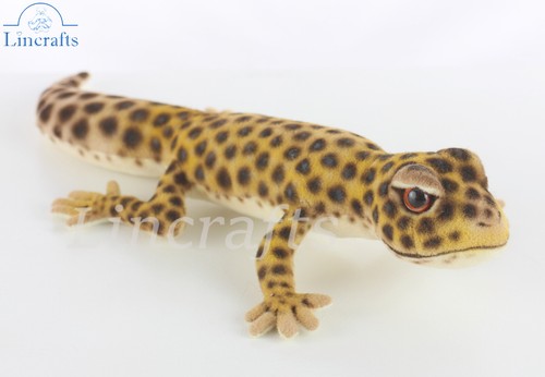 Hansa leopard gecko lizard - hansa,