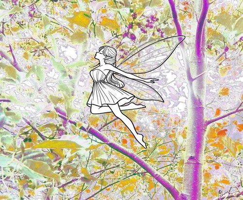 Fairy fen - fen, 🌼