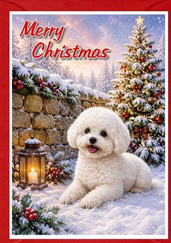 Bichon frise dog - bichon, 6")