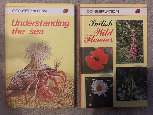 Vintage ladybird books - vintage,