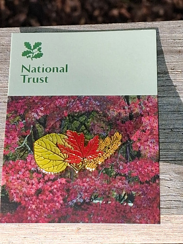 National trust winkworth - national,