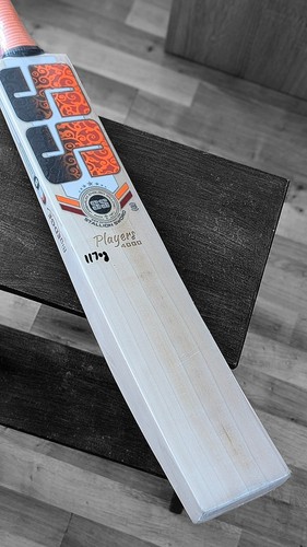 Players 4000 cricket bat sh - ss,