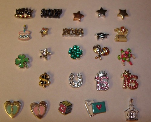 Origami owl celebration - celebration, charms