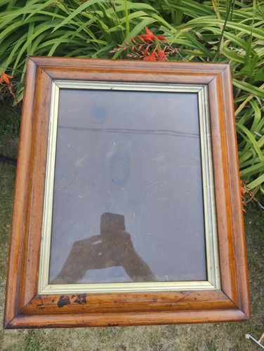 Bird eye maple frame - eye,