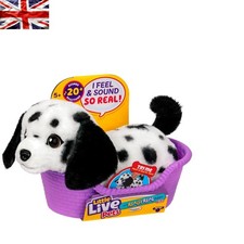 Really real puppy mini - my,