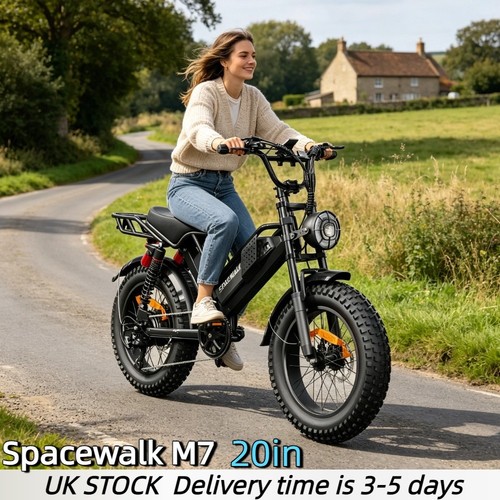 Fat tire electric - tire,