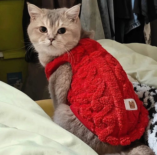 Pet dog cat fleece - cat,