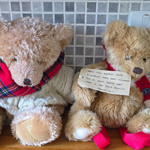 Harrods teddy bear - harrods,