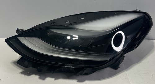 Nice global 2021 2024 - global, tesla