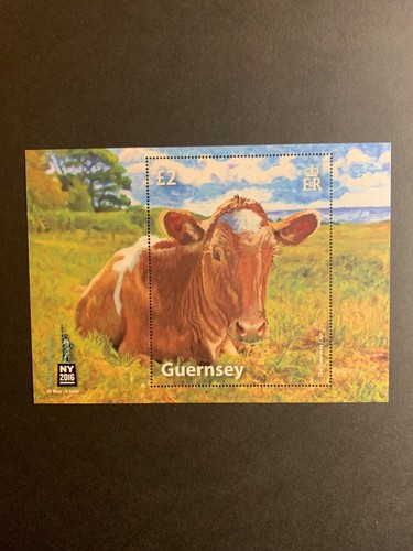 Guernsey 2016 world - guernsey,