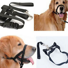 Dog Halter Training Head