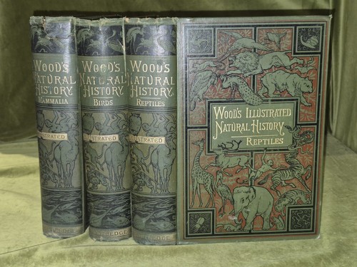 Wood illustrated natural - wood's,