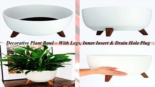 Roma decorative plant - bowl,