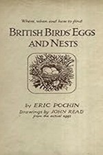 British Birds' Eggs & Nests