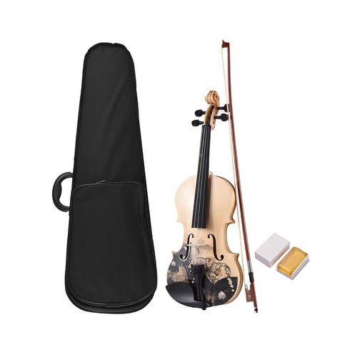 Acoustic violin with - violin, case