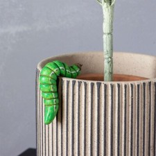 Green Caterpillar Plant Pot