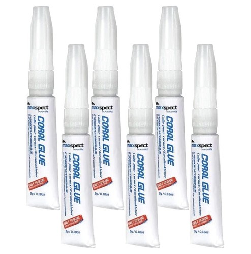 Maxspect coral glue per - glue,