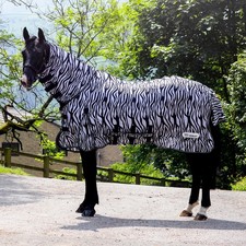 Whitaker Marwell Zebra Print