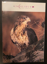 Excalibur Airways In-Flight