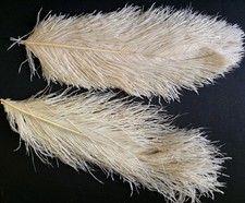 Antique 4 Feathers for  Hat or