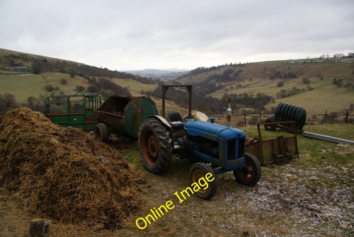 Photo 12x8 trusty - photo, at