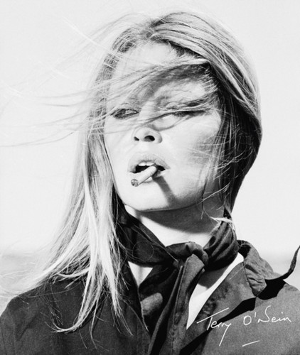 Terry neill the - o'neill, by