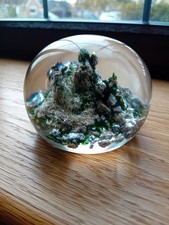 ANTIQUE BACCARAT ROCK GROUND