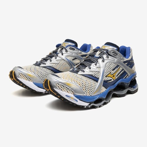 Mizuno wave prophecy - wave, 1