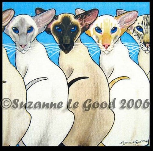 Siamese cat print - siamese,