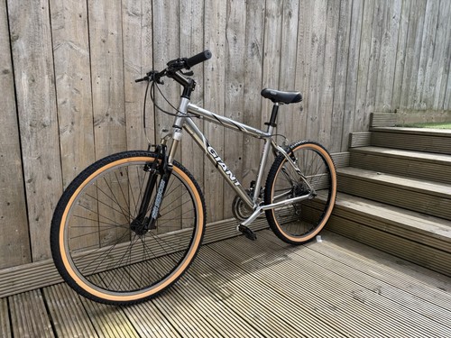 Retro giant rincon - retro,