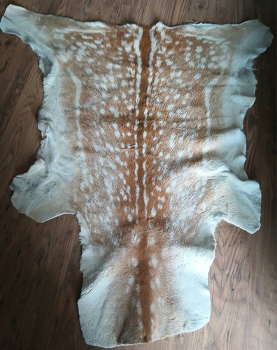 Vintage fallow deer hide - a,