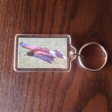  KEYRING BIRD PREY FALCONRY