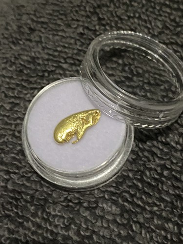 66g raw gold alaskan - 1.66g,