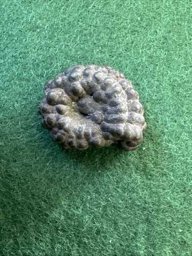 Ammonite pseudofossil heavy - pseudofossil?,