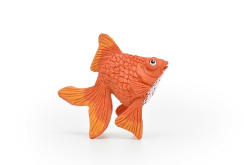 Goldfish fantail fish - goldfish,, toy