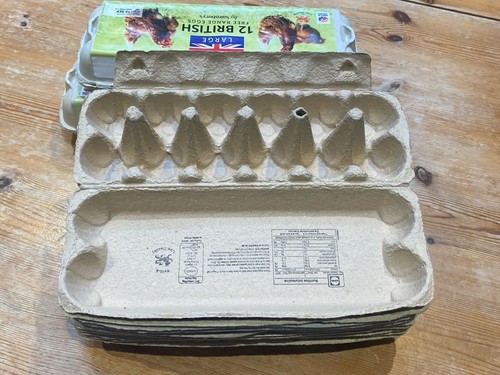 Empty cardboard egg - empty,