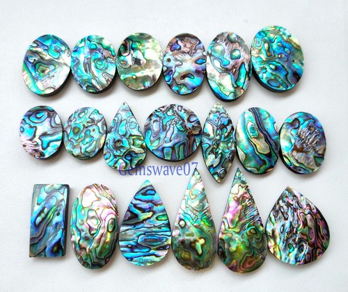 Natural abalone shell - natural,