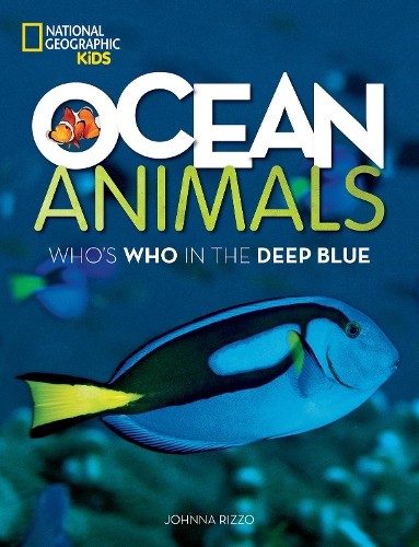 Ocean animals who in - animals:,