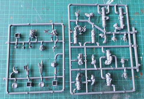 Warhammer aos ogor - aos,