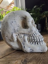 Halloween Skull Decoration. Candy Holder. Goth. Alternative Homeware