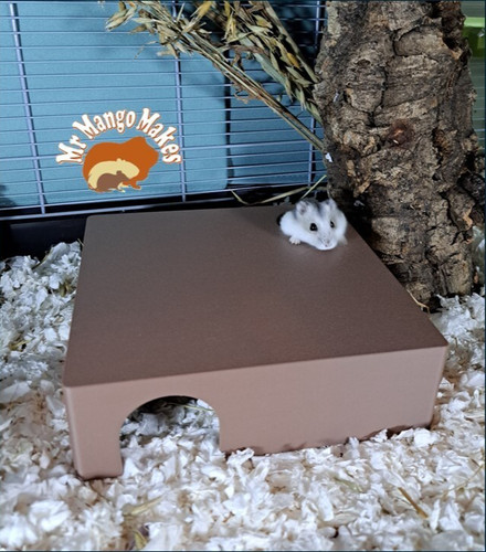 Hamster hide mouse - hamster, 4