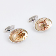 TATEOSSIAN Silver Tone Spider