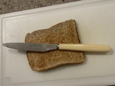 Vintage Butter Knife Faux Bone