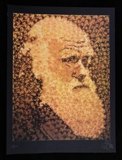 PURE EVIL Darwin print SIGNED  + sticker banksy dface mr brainwash cope2 jonone