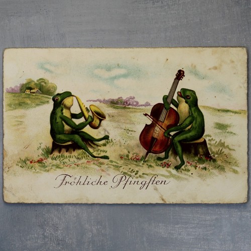 Frog concert double - frog, double-bass