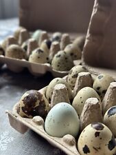 48 Fresh Dozen Quail Eggs - Farm-Fresh, Organic, Fast Shipping!
